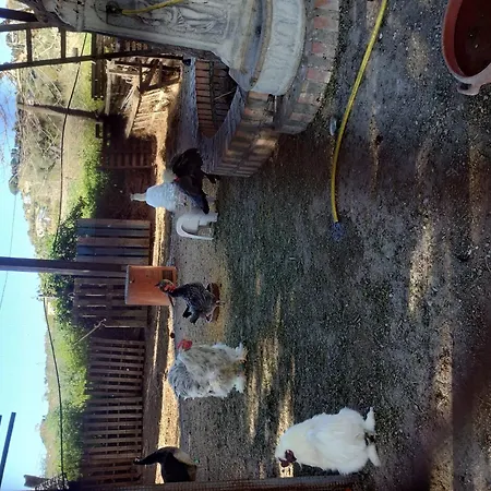 Heaven 4 * Santa Maria (Vibo Valentia)